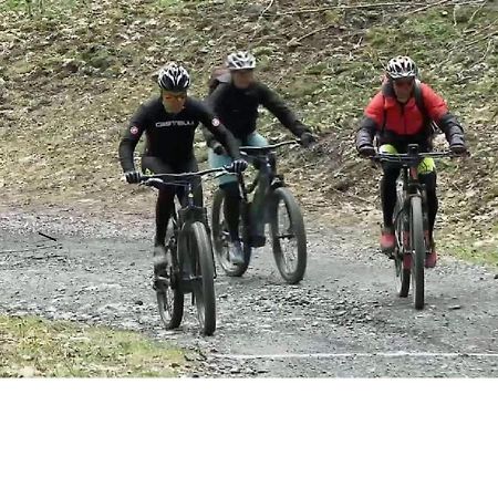 Le Cocon Du Catogne Proche Martigny Verbier - Netflix - Valettes Bagian luar foto