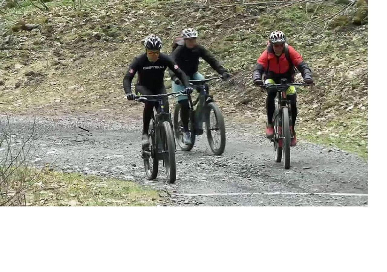 Le Cocon Du Catogne Proche Martigny Verbier - Netflix - Valettes Bagian luar foto