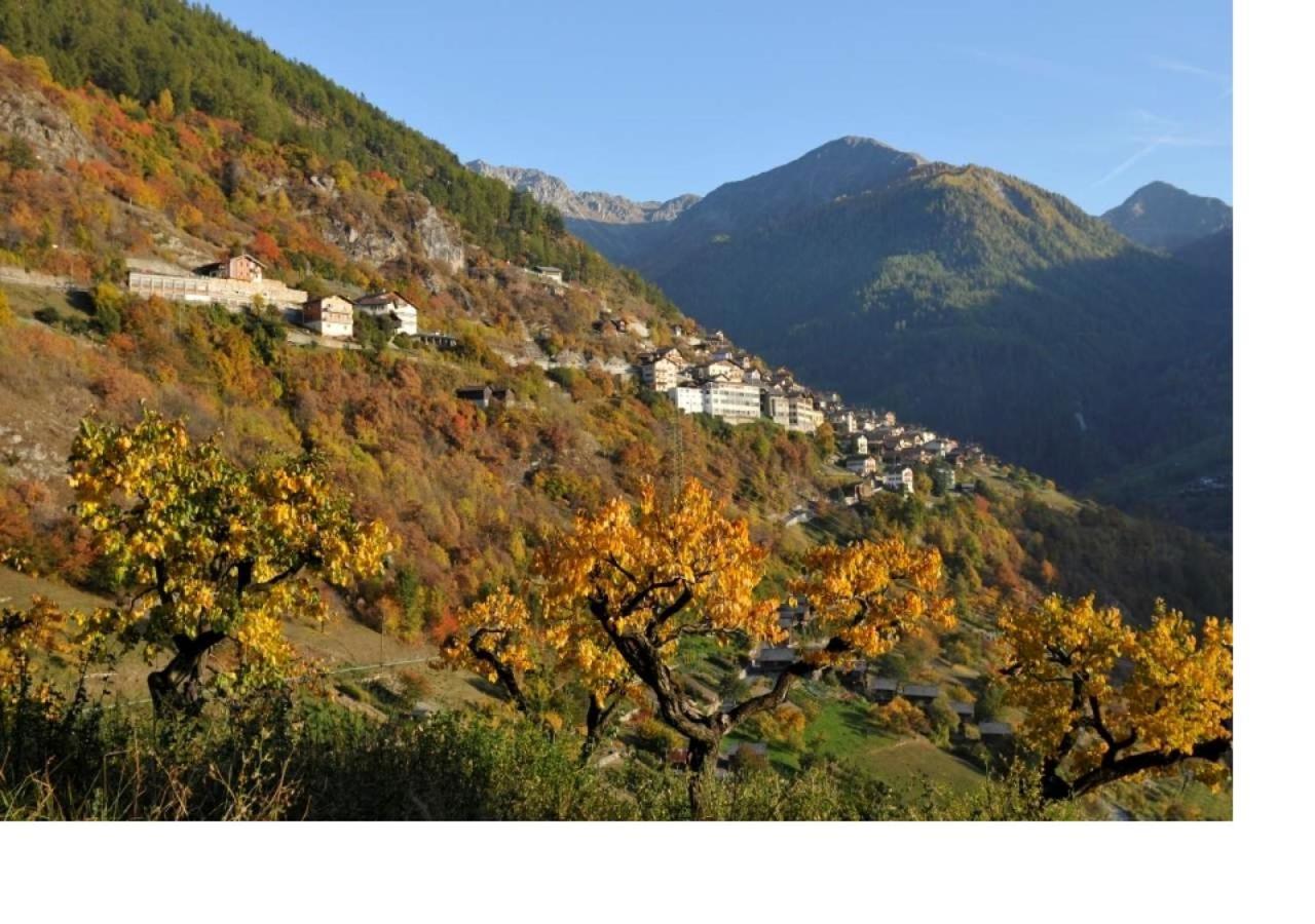 Le Cocon Du Catogne Proche Martigny Verbier - Netflix - Valettes Bagian luar foto