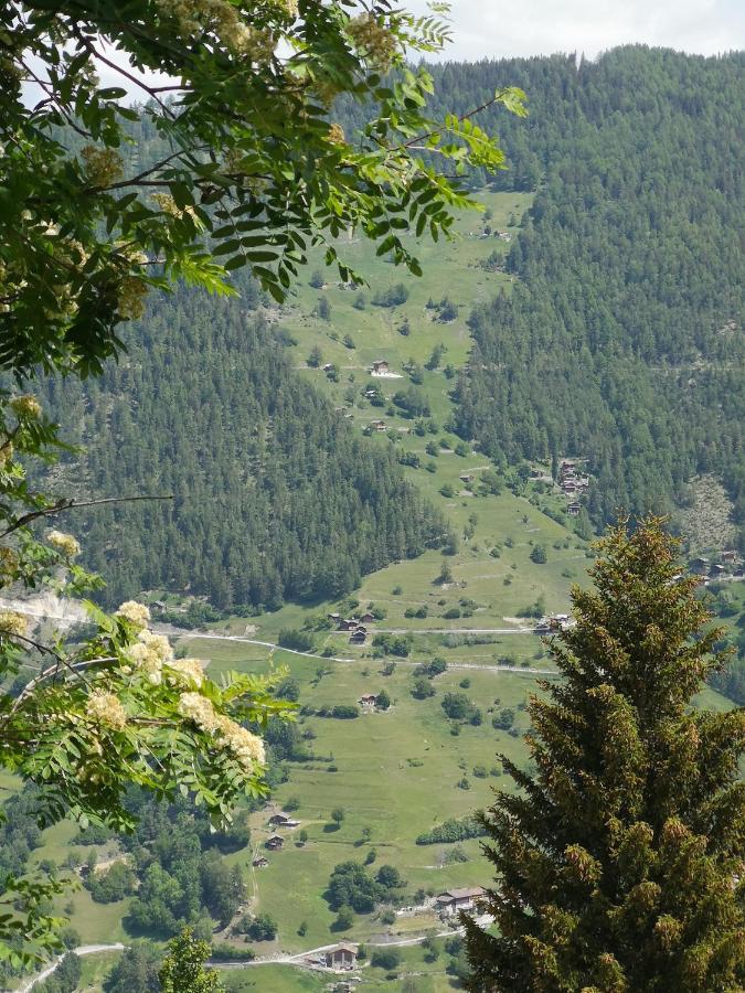 Le Cocon Du Catogne Proche Martigny Verbier - Netflix - Valettes Bagian luar foto